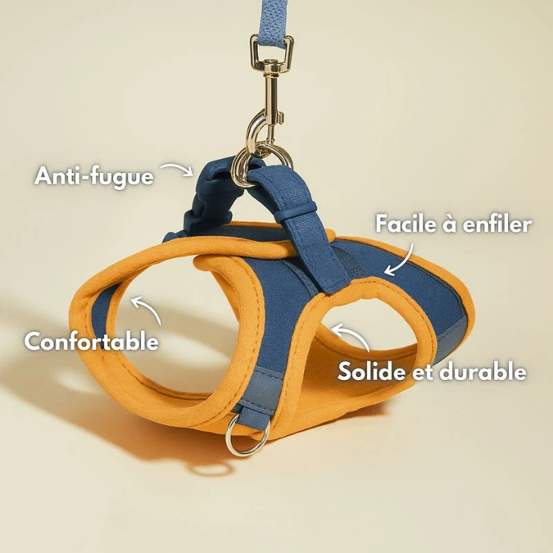 harnais chat anti-fugue + laisse offerte