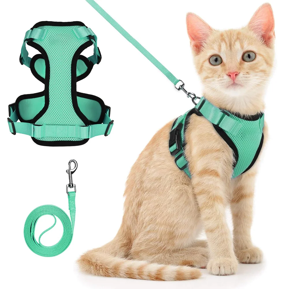 Harnais pour petit chat + laisse offerte