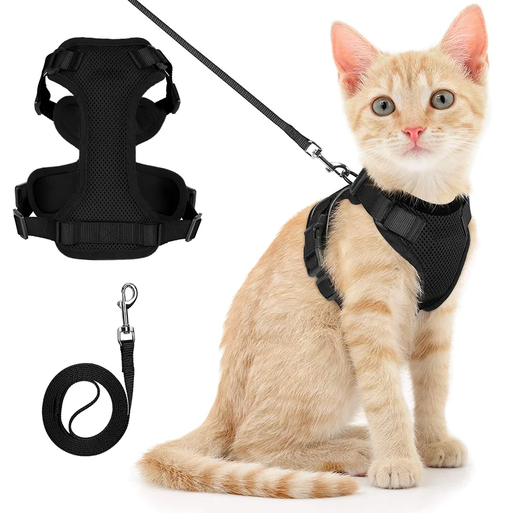 harnais chat anti-fugue + laisse offerte