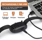 collier anti aboiement et dressage