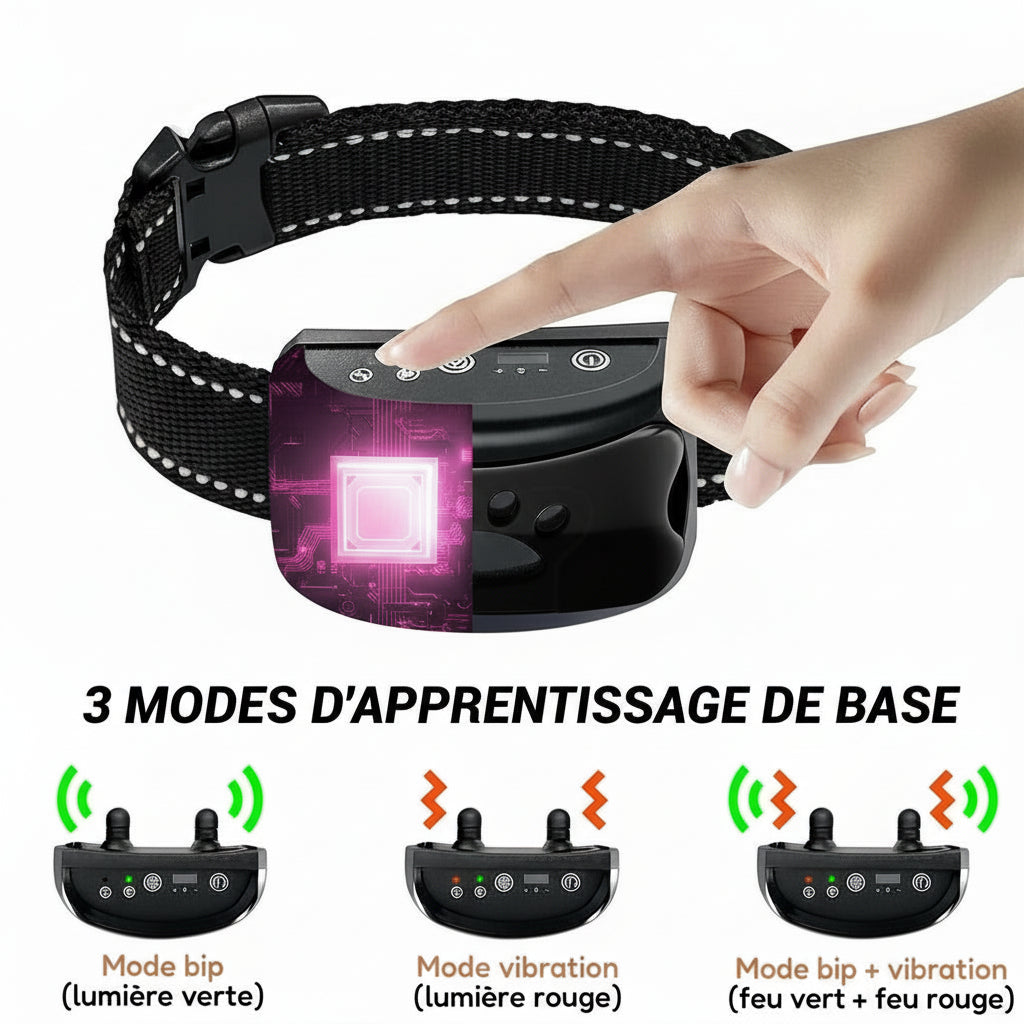 collier anti aboiement et dressage